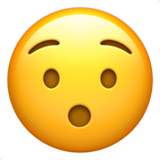 :hushed-face:
